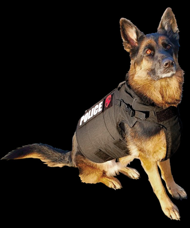 Amazon.com: Personalized Police Dog Ornament German Shepherd Police Dog  Ornament Bullet Proof Vest Police Uniform Ornament Gift for Police Officer  Dog Lover Dog Christmas Tree Ornament : Home & Kitchen