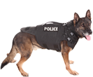 click here to go to k9 vest